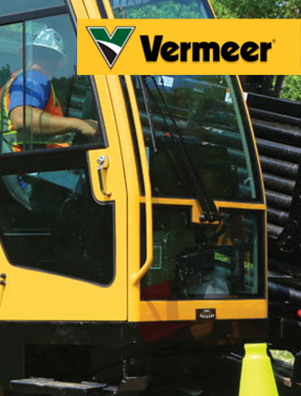 vermmer image.png